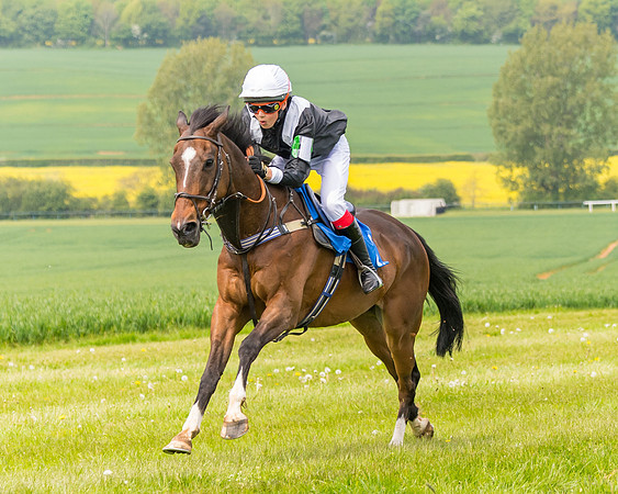 Pony Race 2 - 148cm (103 of 142)