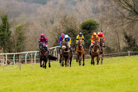 Race 5 - Open Maiden (15 of 38).jpg