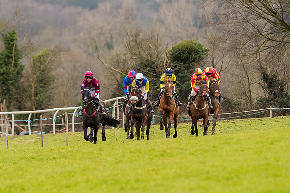 Race 5 - Open Maiden (15 of 38).jpg