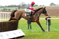 Race 1 - Young Horse Maiden (14 of 50).jpg
