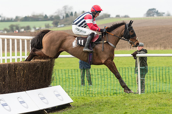 Race 1 - Young Horse Maiden (14 of 50).jpg