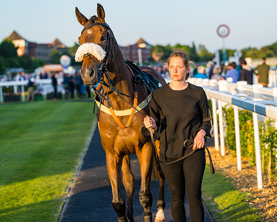 Race 7 - ITM NH Flat Race (7 of 197)