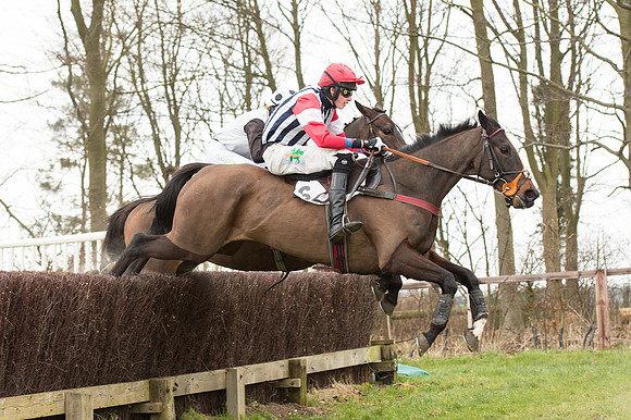 Race 2 - PPORA Novice riders  (93 of 186).jpg