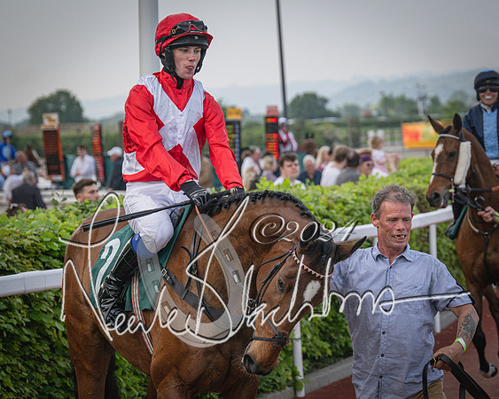 Race 5 - Mares Open Hunter Steeplechase 3m2f 70y (37 of 269)