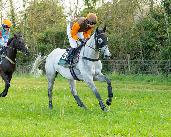 Race 7 - Maiden  (8 of 113)