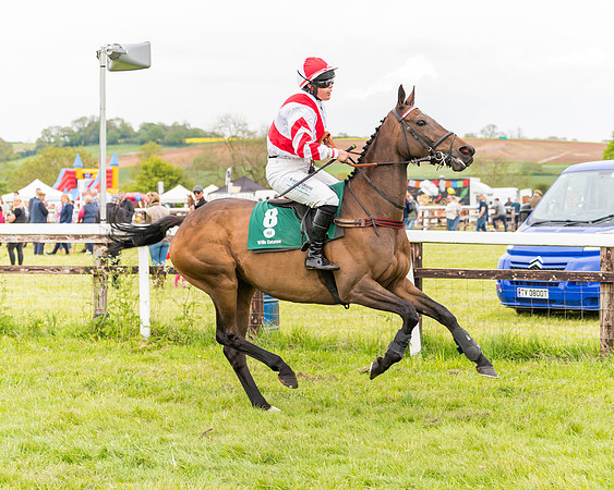 Race 7 - Veteran Horse conditions (45 of 244)