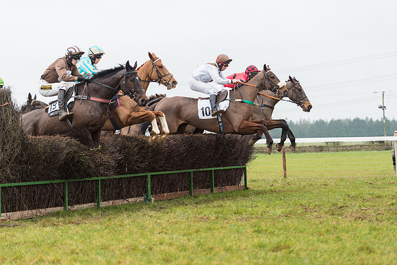 Race 6 - Open Maiden Race Div 1  (39 of 90).jpg