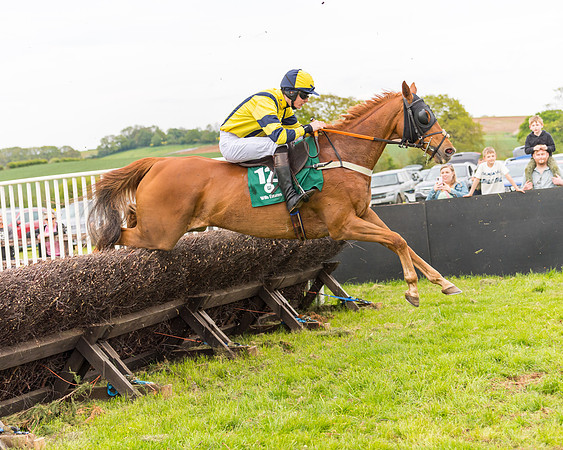 Race 7 - Veteran Horse conditions (114 of 244)