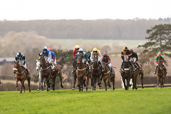Race 2 - Young Horse Maiden (46 of 110).jpg