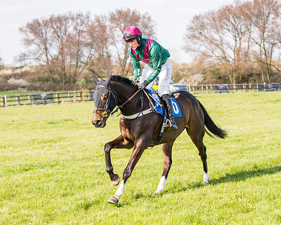 Race 5 - The Waverton Investment Management Ltd Restricted Race farmers and subscribers Race  (46 of 161)