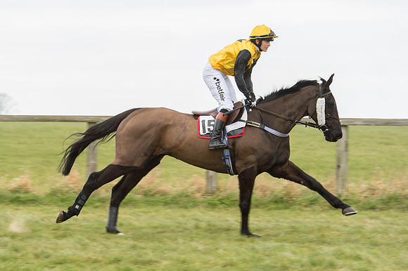 Race 2 - PPORA Novice riders  (37 of 186).jpg