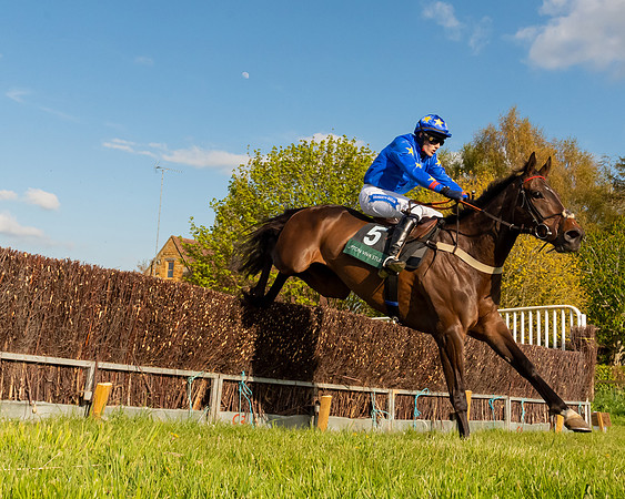 Race 7 - Maiden  (53 of 113)