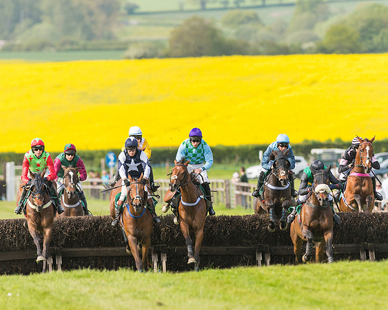 Race 5 - Restricted  (61 of 164)