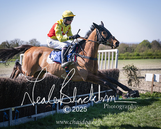 Race 5 - The restricted (70 of 113)