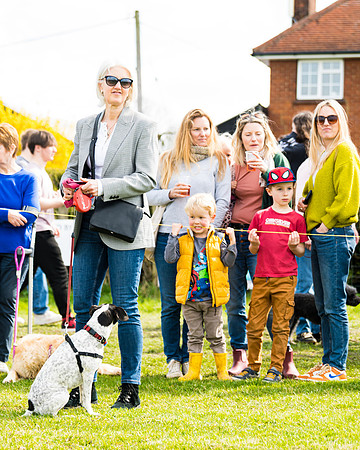 Dog show etc (125 of 157)