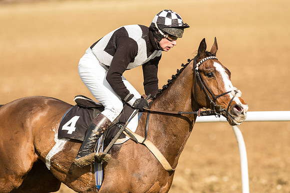 Race 3 - Kent Grand National (46 of 76).jpg