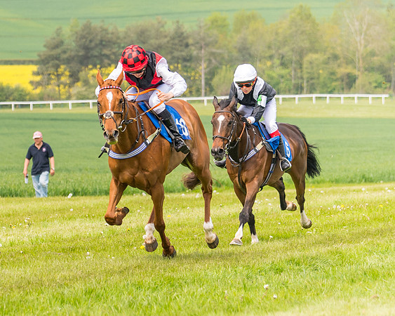 Pony Race 2 - 148cm (90 of 142)