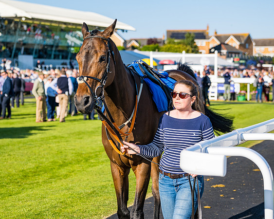 Race 3 - John Corbet Cup (19 of 127)