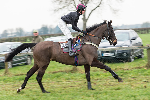 Race 6 - Open Maiden Div 2 (20 of 97).jpg