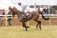 Race 7 - Yoiung Horse Maiden Race (9 of 101).jpg