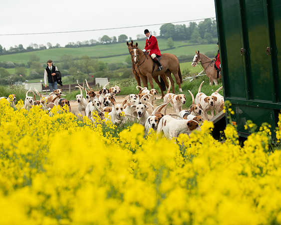 Hunt and Hounds (4 of 12)