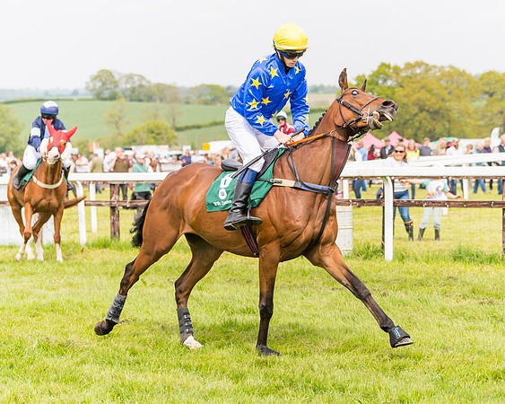 Race 2 - Owner-Trainer Conditions  (33 of 208)