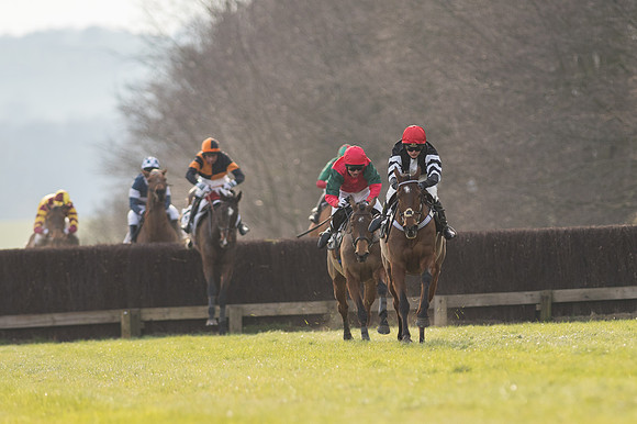 Race 5 - Restricted Race (60 of 98).jpg