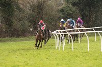 Race 1 - Young Horse Maiden (3 of 50).jpg