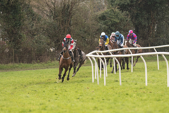 Race 1 - Young Horse Maiden (3 of 50).jpg