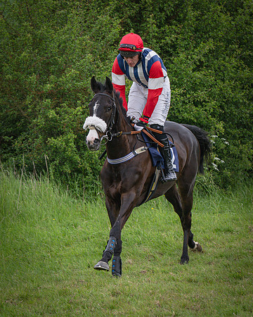 Race 5 - 3 Mile Maiden [NWFAA] (11 of 95)