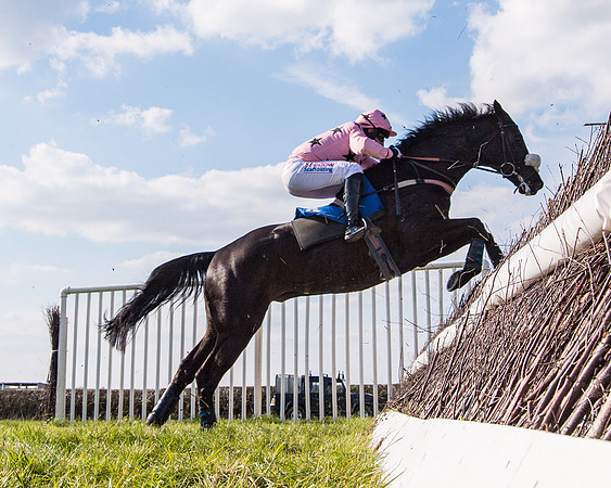 Race 5 - The Waverton Investment Management Ltd Restricted Race farmers and subscribers Race  (82 of 161)