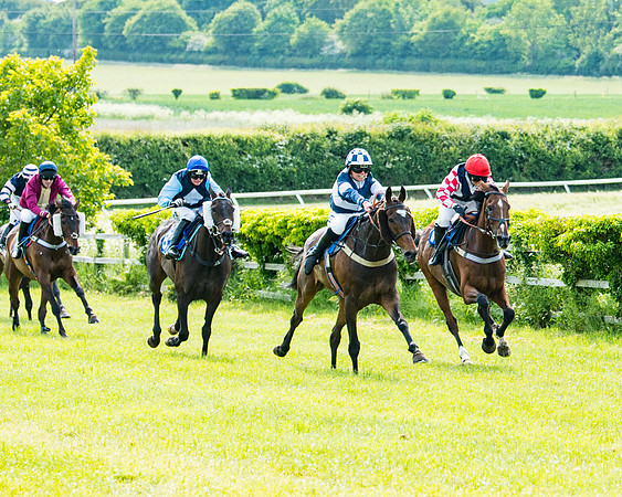 Race 4 - Mixed Open  (263 of 461)