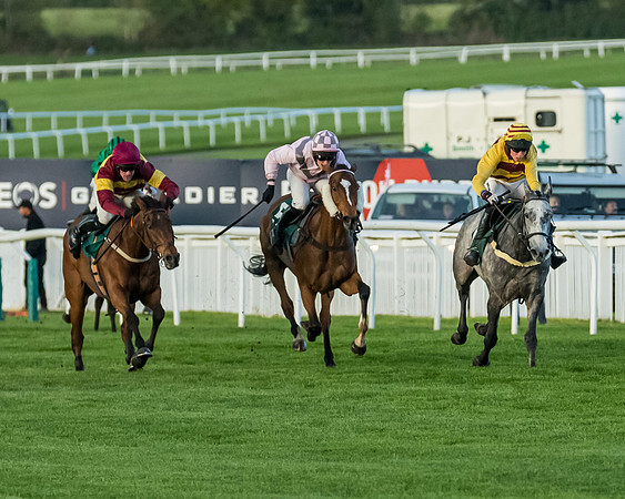 Race 5 - Mares Open  (115 of 329)