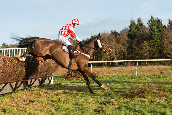 Race 6 - Novice Riders (48 of 103).jpg