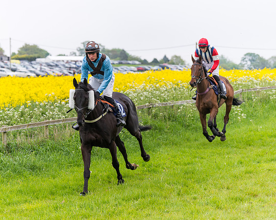 Race 6 - The Maiden [NWFAA] (19 of 143)