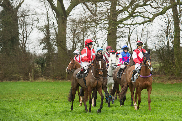 Race 5 - Ladies Open Race (33 of 119).jpg