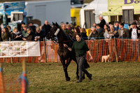 Race 5 - SEHC Members Conditions Race (4 of 142).jpg