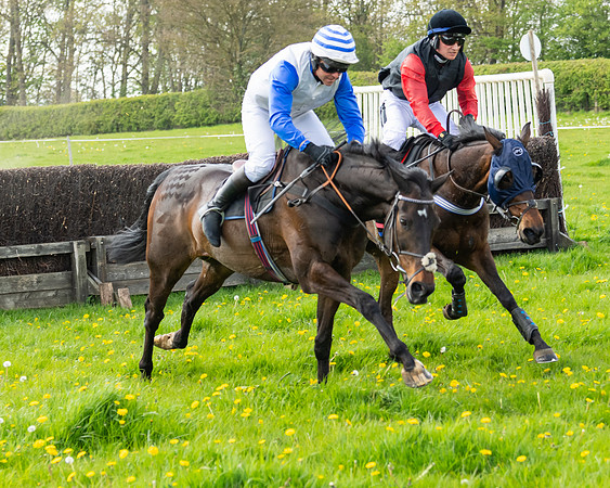 Race 2 - Veteran Horse  (74 of 82)