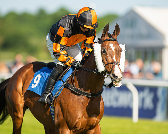 Race 1 - JFF Open Hunter Steeple Chase 2m  (5 of 202)
