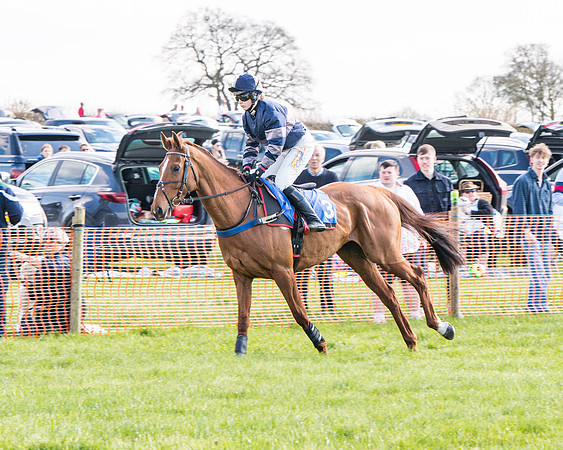 Race 4 - The Warehouse Reit Mixed Open Race  (17 of 124)