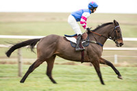 Race 2 - MAres Maiden (10 of 61).jpg