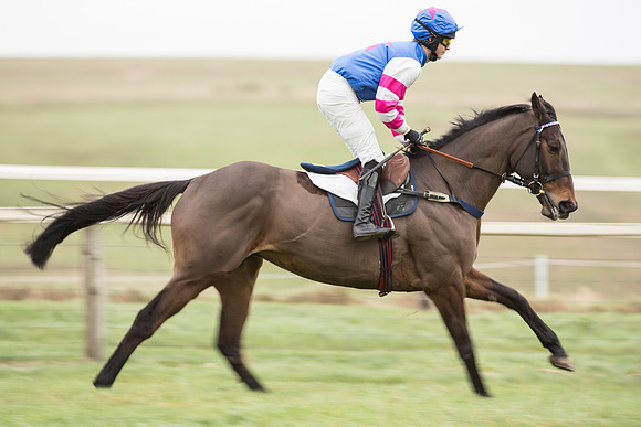 Race 2 - MAres Maiden (10 of 61).jpg