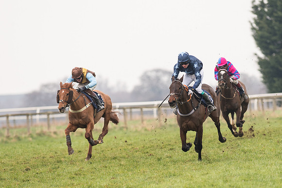 Race 5 - The Restricted Race (65 of 86).jpg