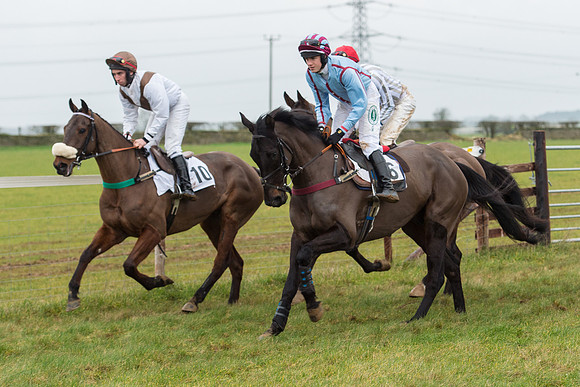 Race 6 - Open Maiden Race Div 1  (30 of 90).jpg