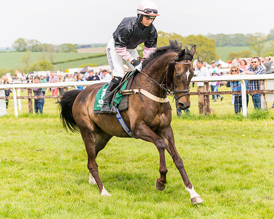 Race 2 - Owner-Trainer Conditions  (50 of 208)