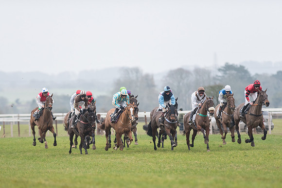 Race 6 - Open Maiden Race Div 1  (35 of 90).jpg