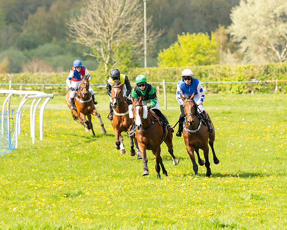 Race 3 - Mixed Open  (41 of 91)