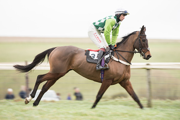 Race 2 - MAres Maiden (3 of 61).jpg