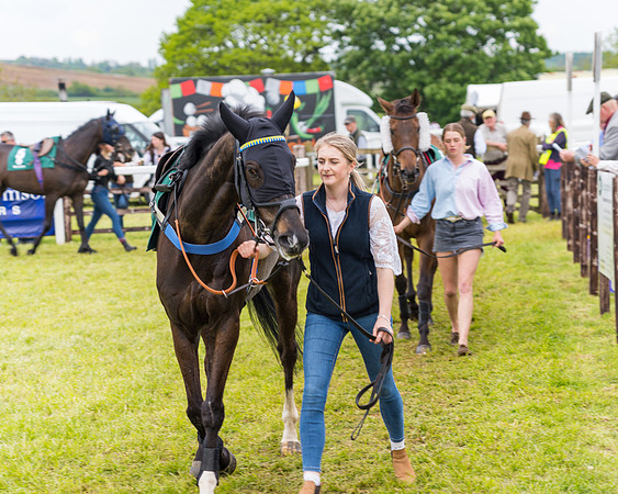 Race 7 - Veteran Horse conditions (27 of 244)