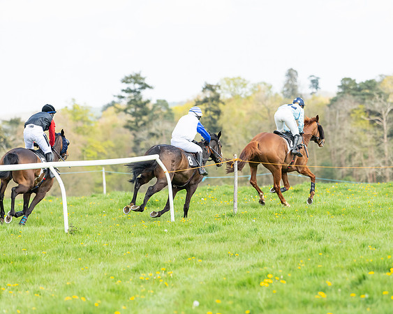 Race 2 - Veteran Horse  (82 of 82)